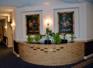 indoor plant image