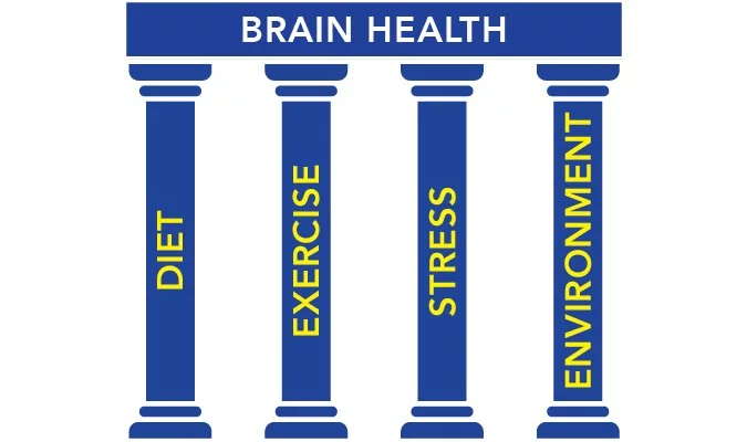 Cognitive Brain Health Pillars, Dr. Joseph Maroon