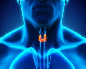 thyroid-health-st-barnabas