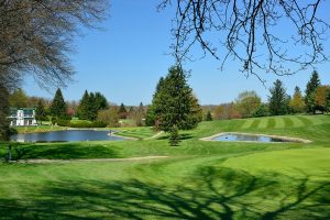 Photo-Conley-Misc-Tree.jpg Photo-Conley-Misc-Tree.jpg